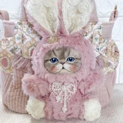 コヤンイサムチョン サイドポケットトートバッグ ピンク ルミちゃん