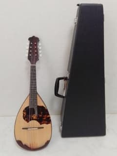 マンドリン 渡辺精次 No.70 Anno1995 Watanabe ケース付 - メルカリ