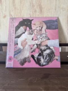 きのこ帝国 猫とアレルギー レコード - メルカリ