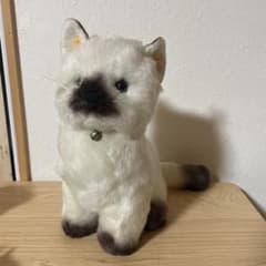 m21983640194_1.jpg?1739715555