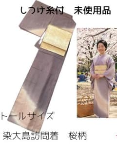 トールサイズ 染大島紬訪問着 未使用品 - メルカリ