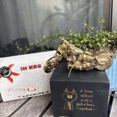 m23727811859_1.jpg?1753536116