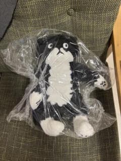 アフタヌーンティー チェ・ヨンジュ モーちゃん ぬいぐるみ 猫 ネコ