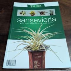 TRUBUS sansevieria 200種のサンスベリア - メルカリ
