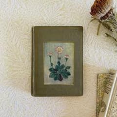 洋書 古書 アンティーク イギリスの植物図鑑 美しいカラー図版48点