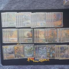 m44526062730_1.jpg?1755571353