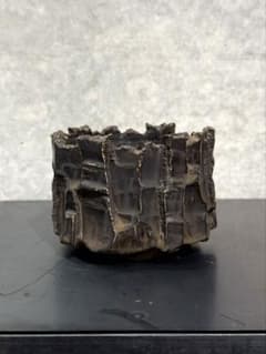 RAW LIFE FACTORY 検) y鉢 細川政己 パキプス グラキリス - メルカリ