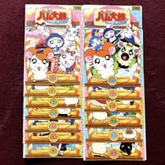 m46328366019_1.jpg?1727252353