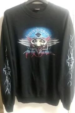 00s HARLEY DAVIDSON サンダー ライトニング ユーロ古着 - メルカリ