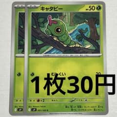 No.3334 ポケカ ポケモンカード キャタピー 2枚 - メルカリ