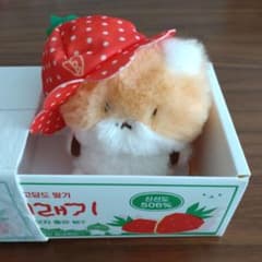 m47664415068_1.jpg?1711864223