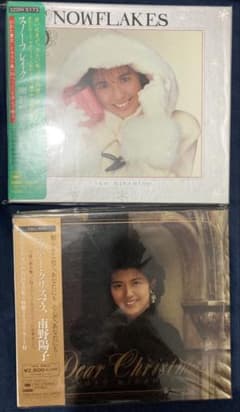 南野陽子 スノーフレイク&ディアークリスマス セット 初回限定盤 美品