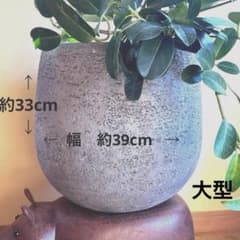 プランターポット 観葉植物鉢 大型サイズ ヤマト運輸発送頼める便 送料