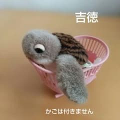 シュタイフ Steiff ぬいぐるみ テディベア 28cm 111327 | Shop at