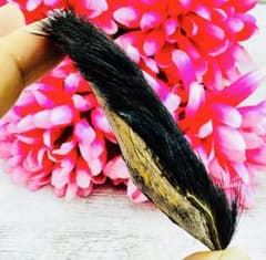 スカル タイガー 額 ヤントラ保護 ギャンブル、幸運のお金、宝くじ