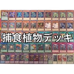 捕食植物 プレデタープランツ デッキ 遊戯王 Predaplant deck b - メルカリ