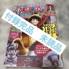 ワンピースマガジン20号 ルフィ ワンピースカードゲーム プロモカード