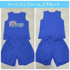 m42605985524_1.jpg?1731985912