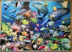 m43116557245_1.jpg?1611739170