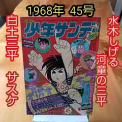 m43557350669_1.jpg?1742130218