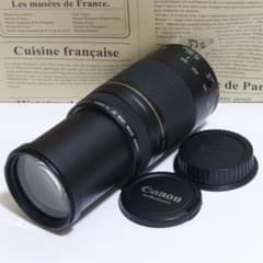 ◇超望遠&高速AF◇ Canon純正 75-300mm II型 望遠レンズ ◇ - メルカリ