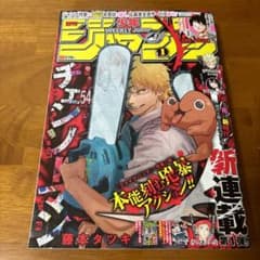 m43842058482_1.jpg?1725317744