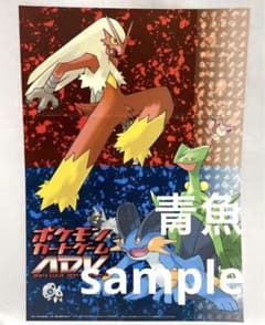 ポケモンカード ルビー サファイア バシャーモ ラグラージ ジュカイン