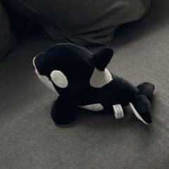 神戸須磨シーワールド オルカくじ シャチくじ 4等 黒色 ぬいぐるみ