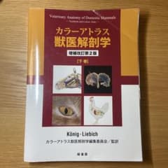 m57000406084_1.jpg?1759307597