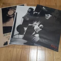 m58283125272_1.jpg?1708185937