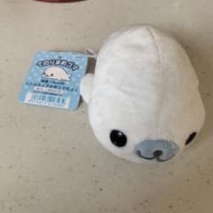 m58385116954_1.jpg?1712881519