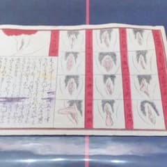 m58625796763_1.jpg?1610933545