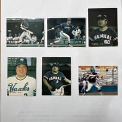 m58694916580_1.jpg?1717042736