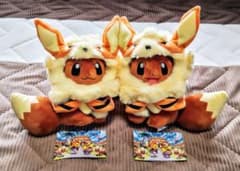 m50086534864_1.jpg?1714692052