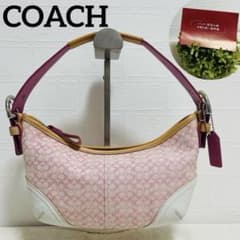 美品✨COACHコーチ アクセサリーポーチ 6351 シグネチャー 希少カラー