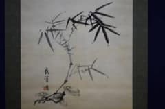 m64887374572_1.jpg?1711543839