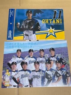 m65558502927_1.jpg?1702963529