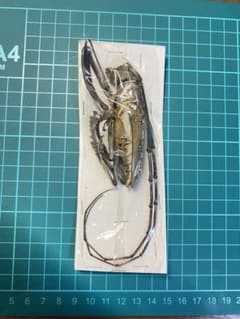 m66105361253_1.jpg?1721829337