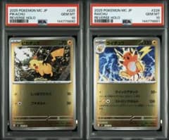 連番】2025 スタートデッキ100 ピカチュウ ライチュウ psa10 - メルカリ