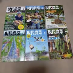 単品可 ☆ 現代農業 2023年6冊まとめ売り - メルカリ