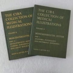洋書・希少 CIBA医学イラスト集第8巻Ⅰ&Ⅱ フランクH.ネッター／英語版