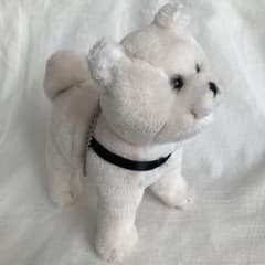 国立科学博物館 ハチ号 秋田犬 ぬいぐるみ マスコット - メルカリ