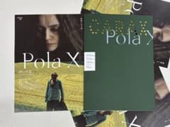 映画『ポーラX 4Kリマスター版』新品パンフレット1冊＋フライヤー3枚