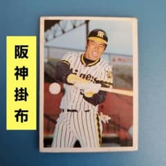 m60991895143_1.jpg?1734570237