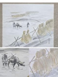 牡丹図】狩野則信2516 ボタン狩野派古画掛け軸肉筆|mercariメルカリ