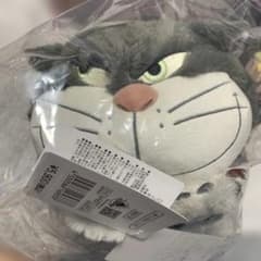 ディズニーストア ルシファーぬいぐるみ湯たんぽ - メルカリ