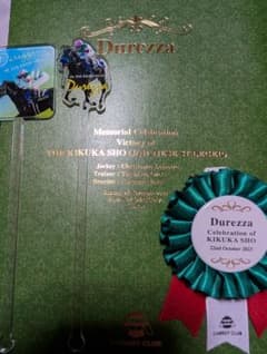 非売品、希少【ドゥレッツァ】Durezza KIKUKA SHO 記念 - メルカリ