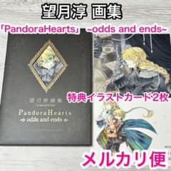 メルカリ便】 初版・特典付❣️ 望月 淳 画集 パンドラハーツ イラスト