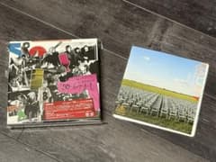 cali≠gariカリガリの仕事2025「30＝6＋7＋8＋9」(狂信盤) - メルカリ