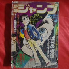 m74514619540_1.jpg?1664041800